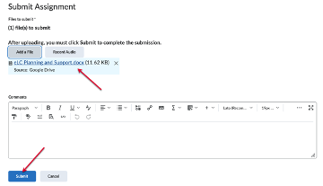 Once selected, your file will show up as a regular assignment file, and you can submit your assignment