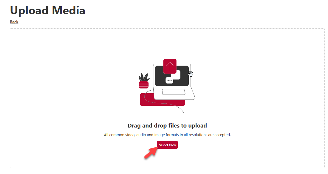 Screenshot of file upload options.