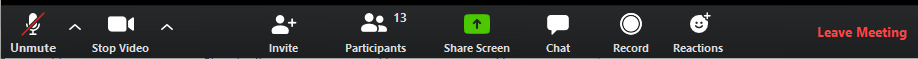 Toolbar at bottom of Zoom app meeting window