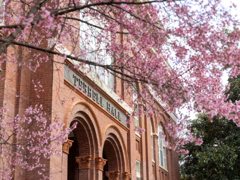 Adding TAs & Graders