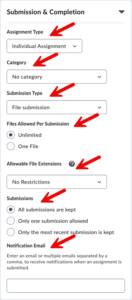 Screenshot of the Submission & Completion tab options