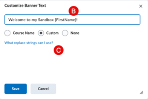 Screenshot of options when adding custom text to course banner.